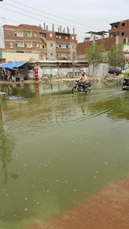 مياه الصرف الصحى تُغرق قرية الشعراوى (1)