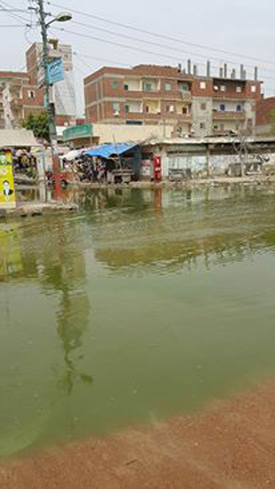مياه الصرف الصحى تُغرق قرية الشعراوى (2)