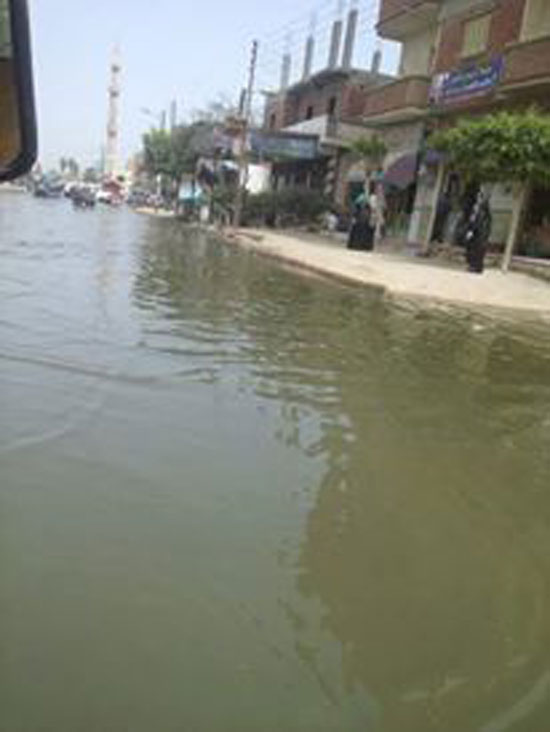 مياه الصرف الصحى تُغرق قرية الشعراوى (4)