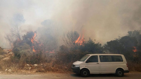 حرائق-الغابات-فى-إسرائيل-(2)