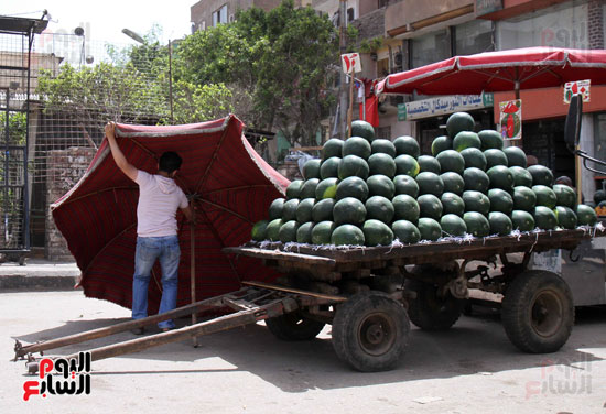 ارتفاع درجة حرارة الجو (6)