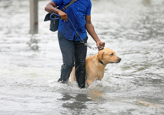 فيضانات سريلانكا  (2)