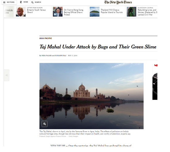 نيويورك تايمز الحشرات تهاجم تاج محل أحد عجائب الدنيا السبع