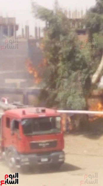 السيطرة على حريق بأشجار مدرسة ثانوية فى إسنا (2)