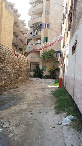 الاسكندرية، القمامة، قرية سياحية، المخلفات، بلطجية (6)
