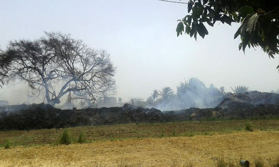 حريق بإحدى حظائر الماشية فى أسوان (2)