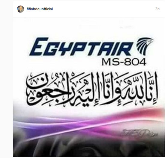 فنانى مصر والوطن العربى فى حملة لدعم شركة مصر للطيران (13)