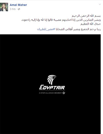 فنانى مصر والوطن العربى فى حملة لدعم شركة مصر للطيران (9)