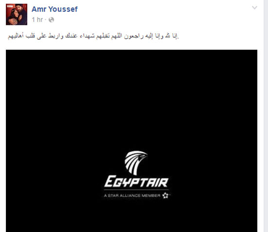 فنانى مصر والوطن العربى فى حملة لدعم شركة مصر للطيران (5)