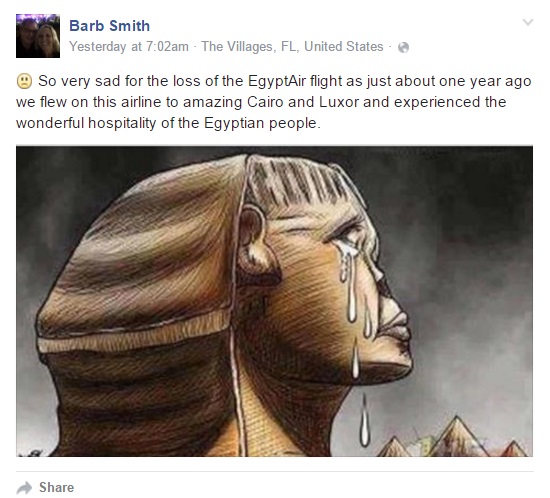 مصر للطيران ـ ادعم مصر للطيران  (2)