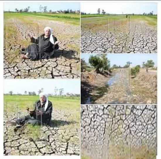  استغاثة من جفاف الأراضى الزراعية بـكفر الشيخ بسبب عدم توفر مياه الرى (5)