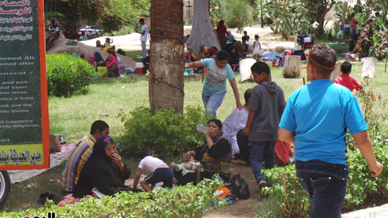 المواطنون أثناء الاحتفال بشم النسيم فى أسوان (5)