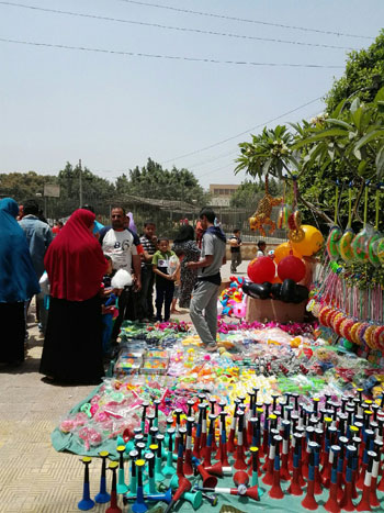 المواطنون يحتفلون بشم النسيم فى الحدائق ببنى سويف (1)