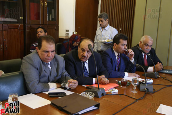 لجنة الشئون العربية (4)