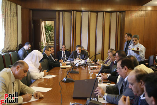 لجنة الشئون العربية (7)