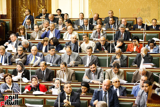 الجلسة العامة مجلس النواب (6)