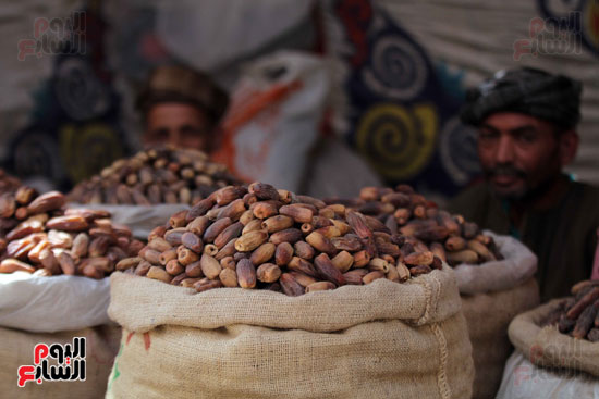 البلح سوق البلح اسعارالبلح (5)