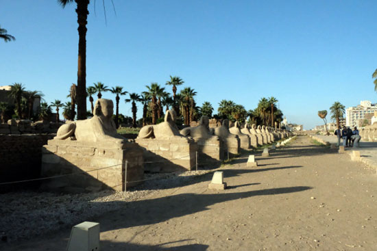سائحة أمريكية تنشر صورها أثناء رحلتها لمصر (11)
