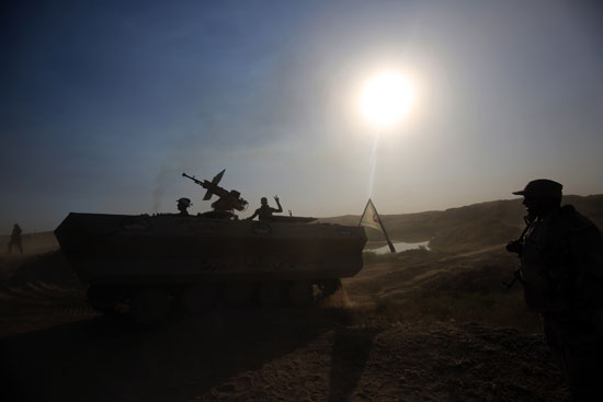 القوات العراقية تتقدم نحو الفلوجة (8)