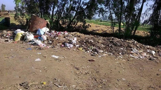 تراكم القمامة بشوارع قرية الباز (2)