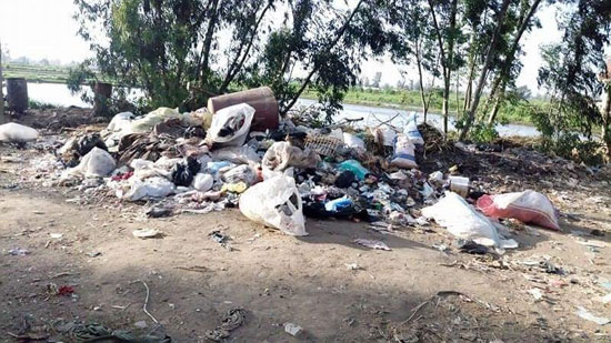 تراكم القمامة بشوارع قرية الباز (5)