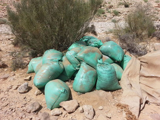 مقتل 13 إرهابيا وضبط 145 لغما فى وسط سيناء وجبل الحلال (13)