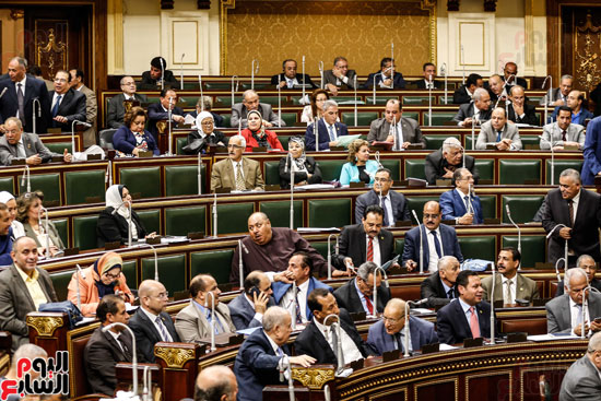 الجلسة العامة مجلس النواب (9)