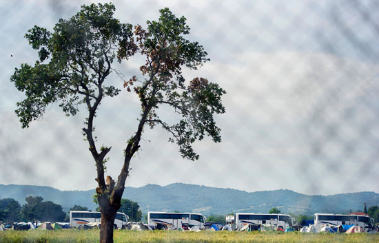 حافلات المهاجرين تغادر مخيم إدومينى بعد إخلائه (6)