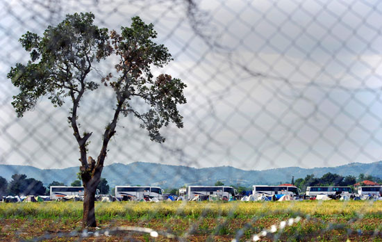 حافلات المهاجرين تغادر مخيم إدومينى بعد إخلائه (10)