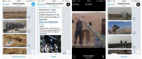 تليجرام تطبيق داعش الأول (6)