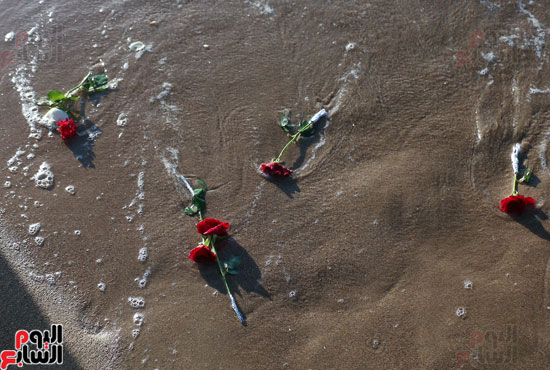 تأبين ضحايا الطائرة المنكوبة بالشموع وإلقاء الورود بشاطىء الإسكندرية (34)