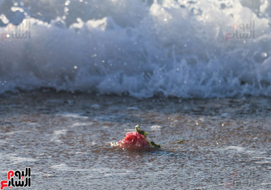 تأبين ضحايا الطائرة المنكوبة بالشموع وإلقاء الورود بشاطىء الإسكندرية (38)