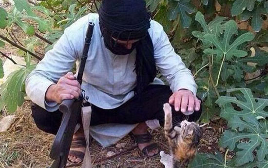 القطط أحدث تقاليع داعش لجذب المقاتلين الجدد (3)