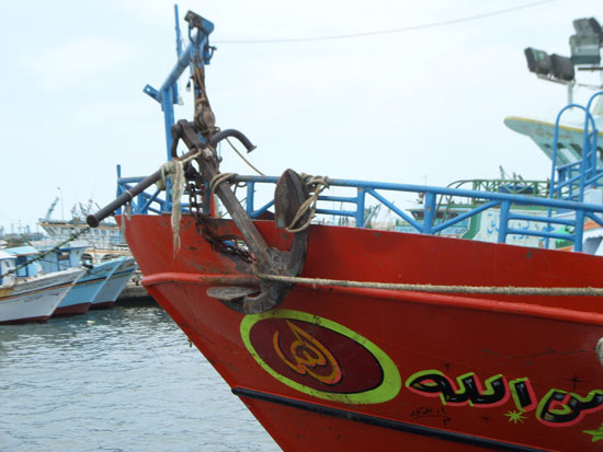 إضراب الصيادين فى بحيرة البرلس (1)