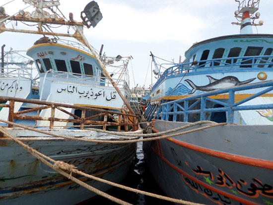 إضراب الصيادين فى بحيرة البرلس (2)
