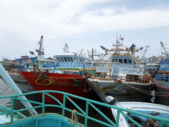 إضراب الصيادين فى بحيرة البرلس (3)