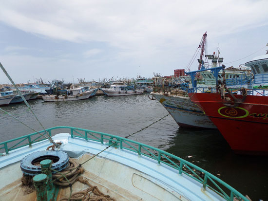 إضراب الصيادين فى بحيرة البرلس (4)