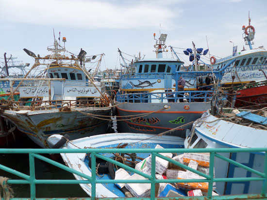 إضراب الصيادين فى بحيرة البرلس (5)