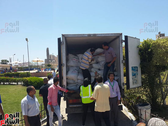 توزيع 3500 جوال للسلع الغذائية غرب الإسكندرية (8)