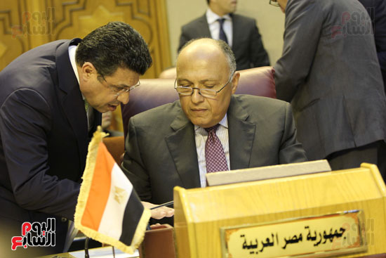 اجتماع وزراء الخارجية العرب (3)