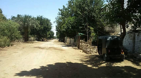 قرية الكرم بمحافظة المنيا (2)