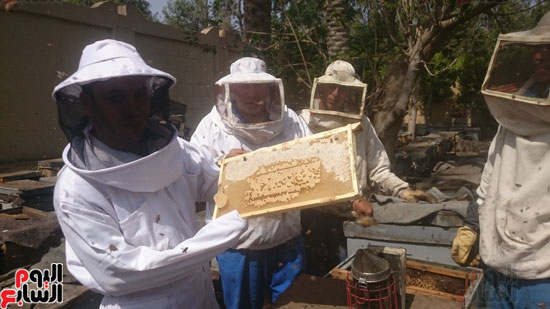 حصة شبشير ، إنتاج العسل ، نقابة للنحالين (1)