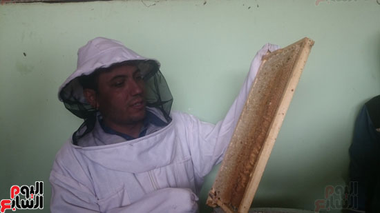 حصة شبشير ، إنتاج العسل ، نقابة للنحالين (14)