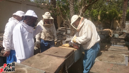 حصة شبشير ، إنتاج العسل ، نقابة للنحالين (15)