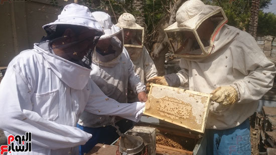 حصة شبشير ، إنتاج العسل ، نقابة للنحالين (2)