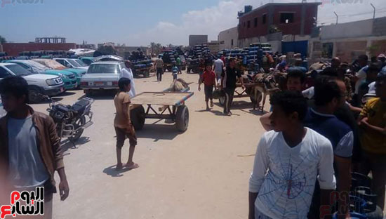 أزمة نقص غاز البوتاجاز تضرب شمال سيناء (2)
