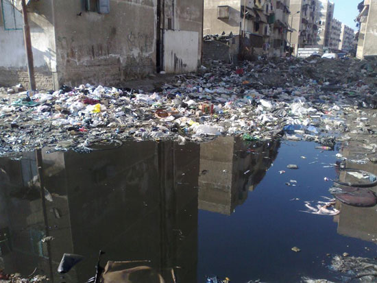 ..-مياه-الصرف-والقمامة-تغطى-حى-فاطمة-الزهراء-ببورسعيد-(12)