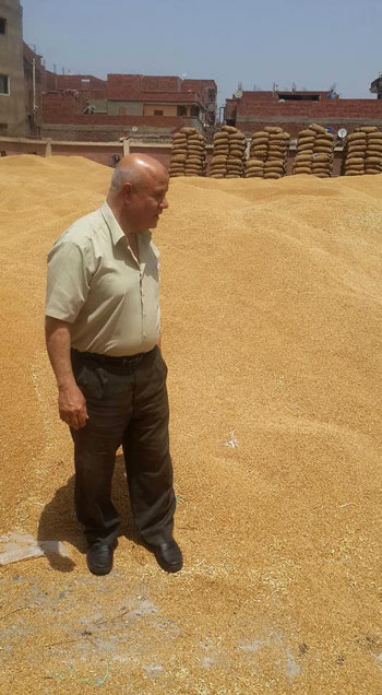 وكيل وزارة الزراعية بالغربية يتفقد شون القمح (2)