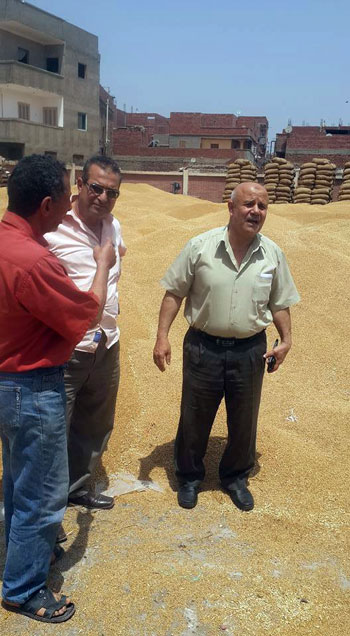 وكيل وزارة الزراعية بالغربية يتفقد شون القمح (3)