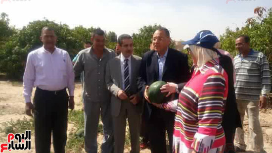 رئيس جامعة القناة يفتتح موسم موسم حصاد البطيخ بمزرعة كلية الزراعة (2)